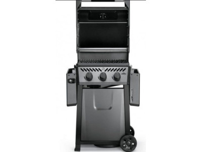 Napoleon Freestyle 365