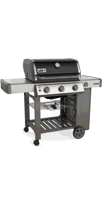 Weber Genesis II E-310 GBS