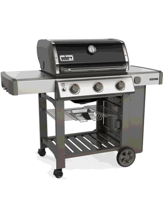 Weber Genesis II E-310 GBS