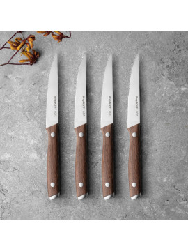 Berghoff набор ножей для стейка RON 4 пр