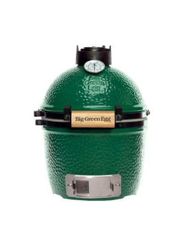 Big Green Egg mini