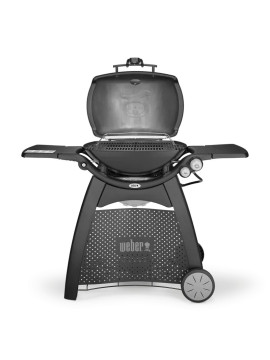 WEBER Q 3200 с подставкой