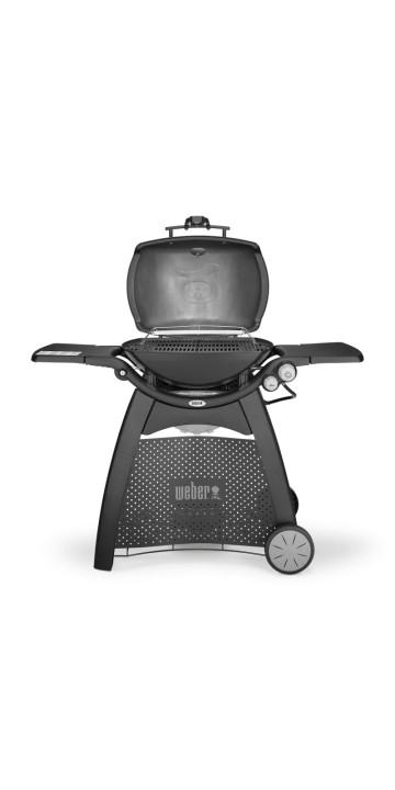 WEBER Q 3200 з підставкою