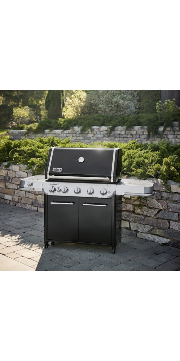 Weber Summit FS38 E