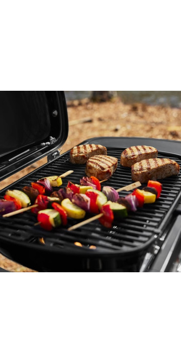 Weber Traveler Compact Portable