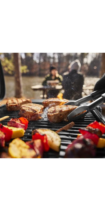 Weber Traveler Compact Portable